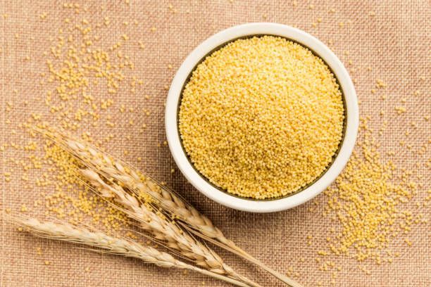 Foxtail Millet wholesale supplier and exporter in India